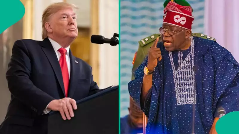 Trump's Military Threat Against Nigeria: President Tinubu Calls It 'An Orchestrated Game' | Legit.ng Exclusive