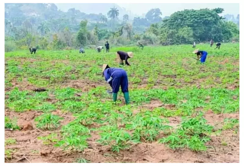 UN: Insecurity May Push 35 Million Nigerians into Severe Hunger by 2026