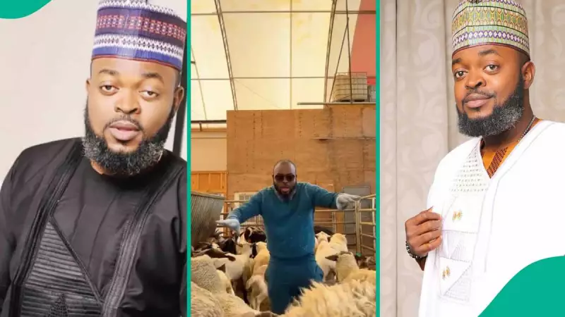 Yomi Gold Sells Goats in US for Detty December, Sparks Reactions