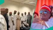 13 NNPP Reps Deny Defection Rumors, Affirm Loyalty to Kwankwasiya