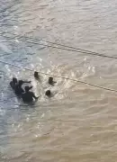 5 Students Drown as Bus Plunges into Ogoja River