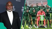 Amaju Pinnick Blames Nigerians for Super Eagles' World Cup Failure