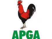 Anambra Election: APGA Chairman Praises INEC Despite Minor BVAS Issues
