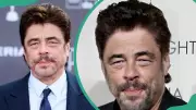 Benicio Del Toro's Love Life: Is He Married? Full Dating History 2025