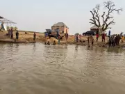 Expert: Nigeria's Climate Health Crisis Demands Resilience & Data