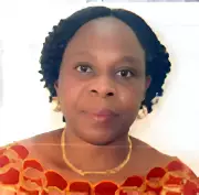 FG Hires Consultants to Boost Gari Irrigation Scheme - Major Push for Nigeria's Agricultural Sector