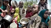 Food Crisis Alert: 34.7 Million Nigerians to Face Severe Hunger by 2026 - New Report Reveals