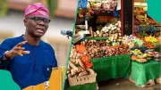 Lagos Launches N500bn Food Plan to Boost Production, Cut Prices