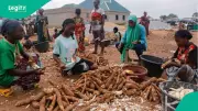 NADF, BOA Launch Agri-Loans for Women, Youth in Cassava Sector