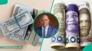 Naira Crashes: Dollar Hits N1,443.91 as Festive Demand Surges