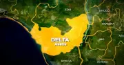 Niger Delta Demands Urgent Oil Spill Cleanup to Revive Agriculture
