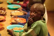 Nigeria's Food Crisis Deepens: 34.7 Million Face Hunger by 2026