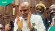 Nnamdi Kanu Seeks Appeal Court Intervention to Stop Nov 20 Judgment