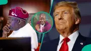 Pastor Frank Adeyemi Urges Tinubu to Stop Trump Invasion with Prayer
