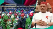 PDP Crisis Deepens as Anyanwu Claims Legitimacy Amid Convention Dispute