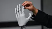 Rise of Physical AI: Over 1 Billion Humanoid Robots Predicted by 2050