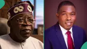 SDP's Adebayo Accuses Tinubu of Losing Control Over Rising Insecurity