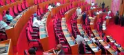 Senate Advances Bill to Modernize Nigeria's Outdated Military Laws