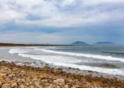 Shark Attack Kills Woman, Injures Man at Australian Beach