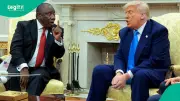 Trump Boycotts G20 Summit Over South Africa Allegations