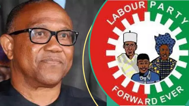 2027 Election: Peter Obi Considers Labour Party Exit Amid Leadership Crisis
