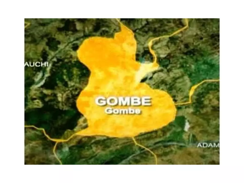 7 Wedding Guests Die in Tragic Road Accident on Damaturu-Maiduguri Highway