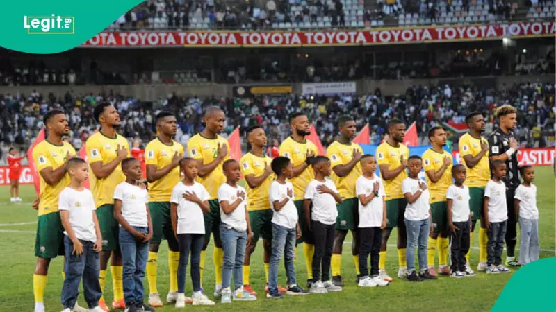 AFCON 2025: Mysterious Cat 'Oracle Whiskers' Predicts South Africa vs Angola, Other Matches