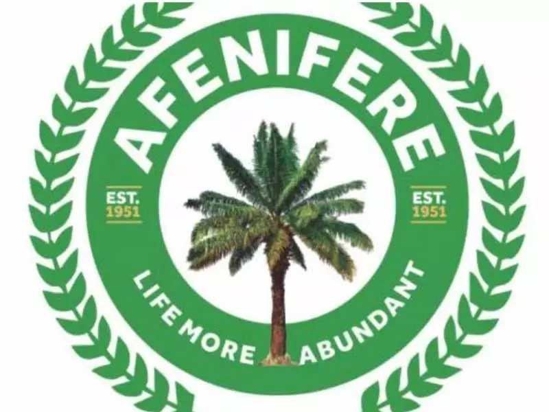 Afenifere Backs U.S. Airstrikes on ISIS in Nigeria, Calls Action Timely