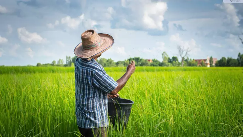 AfricaRice & Kasetsart University Forge Landmark Pact to Revolutionise African Rice