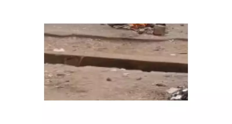 Angry Mob Burns Two Suspected Robbers Alive in Benue