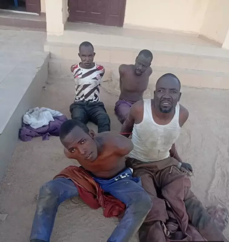 Army Nabs 4 ISWAP Informants in Adamawa, Linked to Deadly Attack