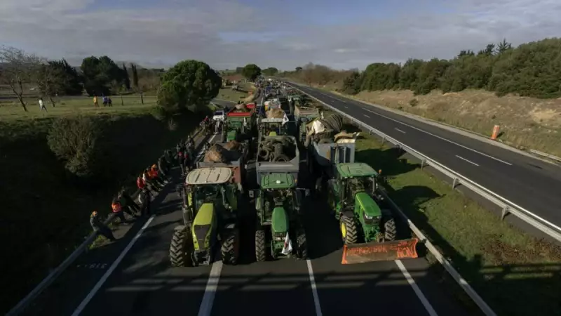 Balkan Nations Offer Swift Response Model for France's Cattle Disease Crisis