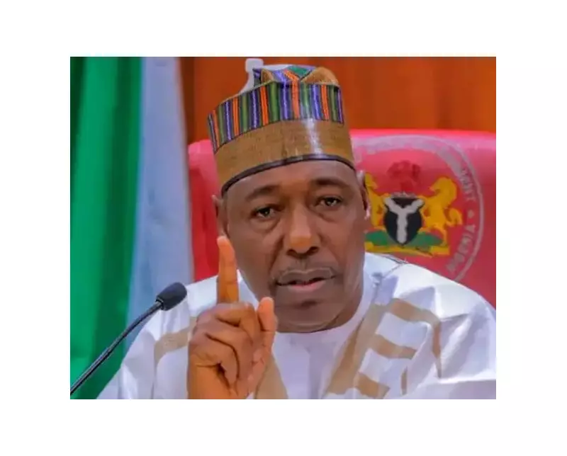 Borno Governor Reveals N100bn Security Spend, Hinders Development