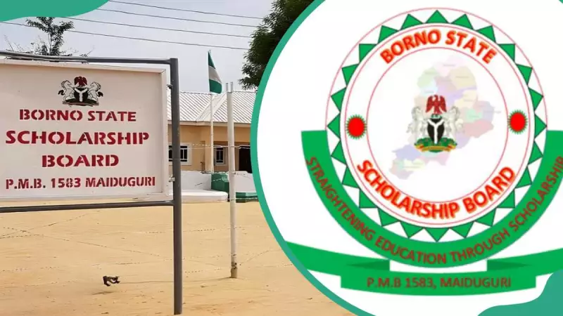 Borno State Scholarship 2025: Full Guide on Eligibility and How to Apply
