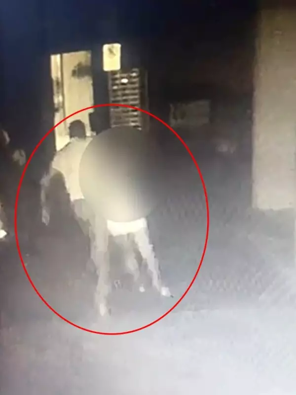 Brazilian Blogger, 25, Dies After Husband Throws Her From 10th-Floor Balcony