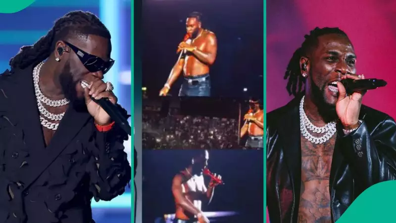 Burna Boy Pauses Boston Show to Thank Fans After Backlash: "Something Changed"