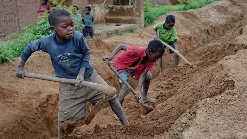 Child Labour Crisis: 13 Million West African Children Exploited