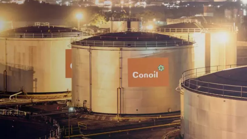 Conoil Revenue Soars 60.5% in 2024, Proposes N2.4bn Dividend