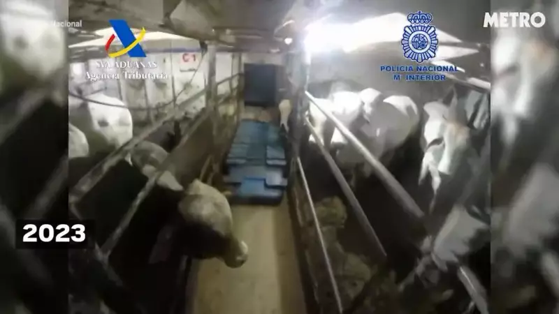 Drug Cartels Use Cattle Ships to Smuggle £450m Cocaine to Europe