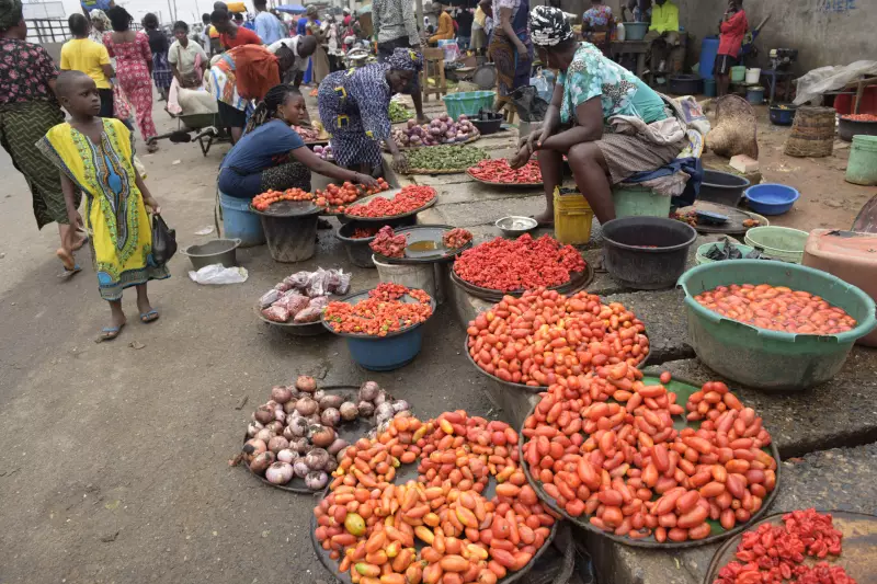 Economist: More Farmer Support Needed to Crash Nigeria's Food Prices