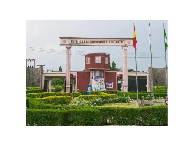 EKSUTH Sets Up 7-Man Panel Over Patient's Organ Harvesting Claim