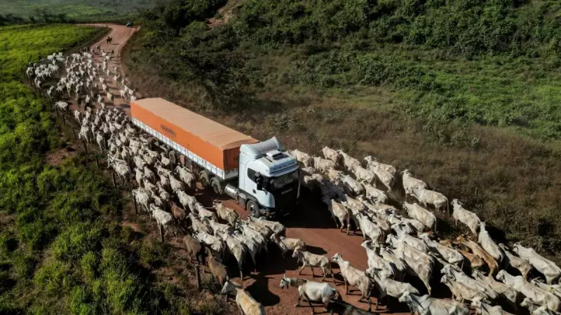 EU-Mercosur Trade Deal Faces Crucial Vote Amid Farmer Protests