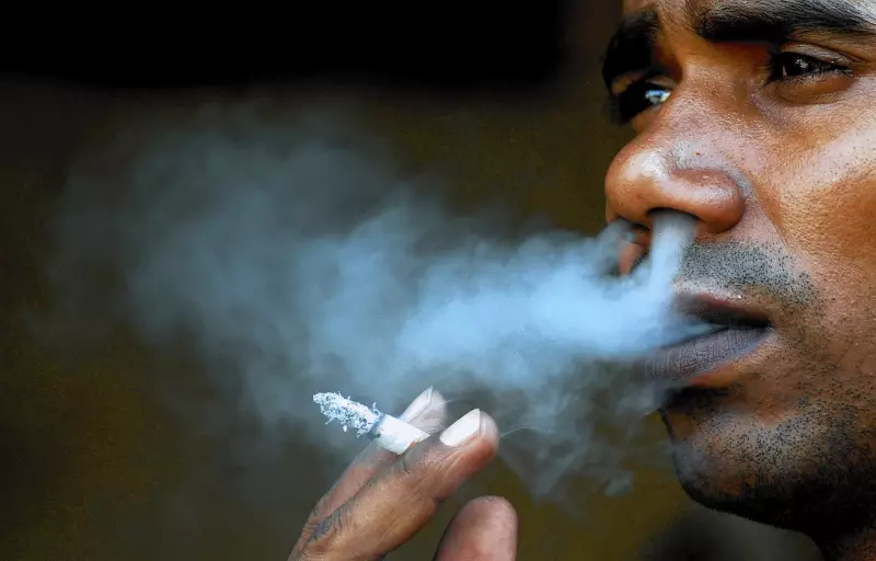Expert Urges Nigeria to Adopt Tobacco Harm Reduction to Cut Smoking Risks