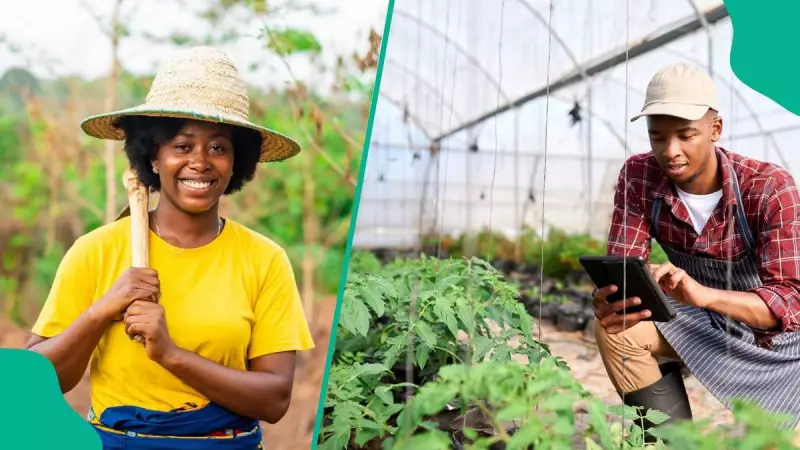 FG Launches National Digital Farmers Registry to Boost Food Security