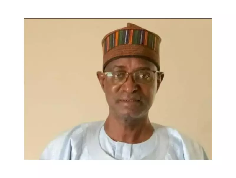 High Feed Costs, Input Access Hinder Nigeria's Poultry Industry Growth