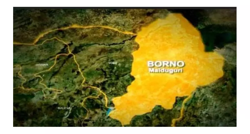IED Blast Kills 4 Children in Borno, Injures 12-Year-Old Boy