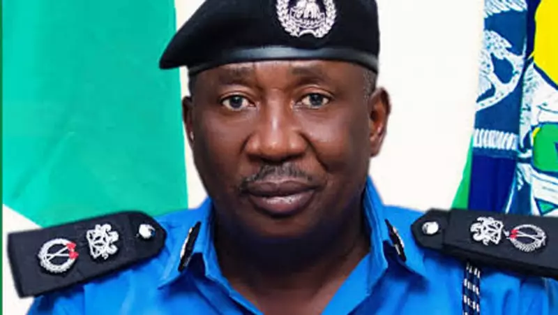 Imo Police Neutralize 2 Kidnappers, Arrest 12, Recover Body & Arms