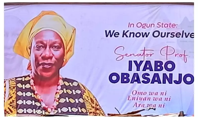 Iyabo Obasanjo-Bello Denies 2027 Election Bid, Cites US Academic Life