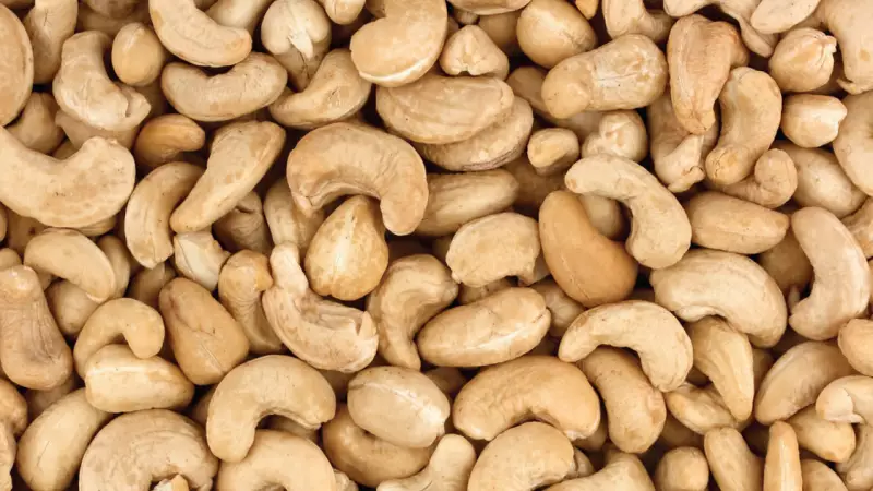 Kogi Cashew Stakeholders Warn Export Ban Will Destroy Jobs, Farms