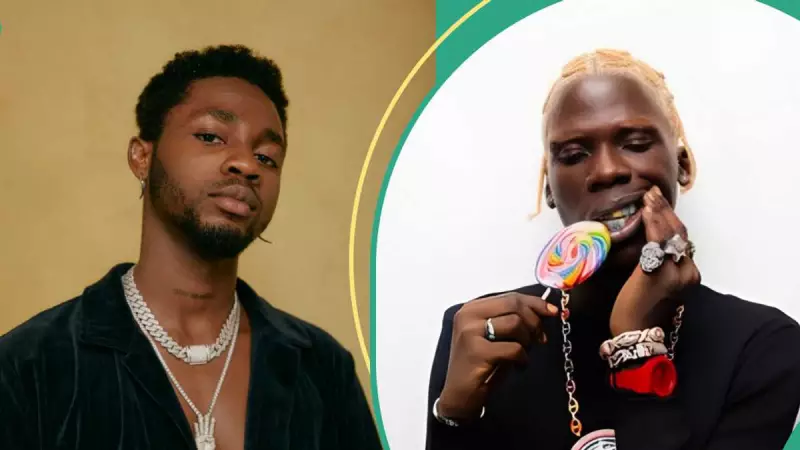 Motherland Festival 2025 Debuts in Lagos: Omah Lay, Seyi Vibez Unite 8,000 in Cultural Homecoming